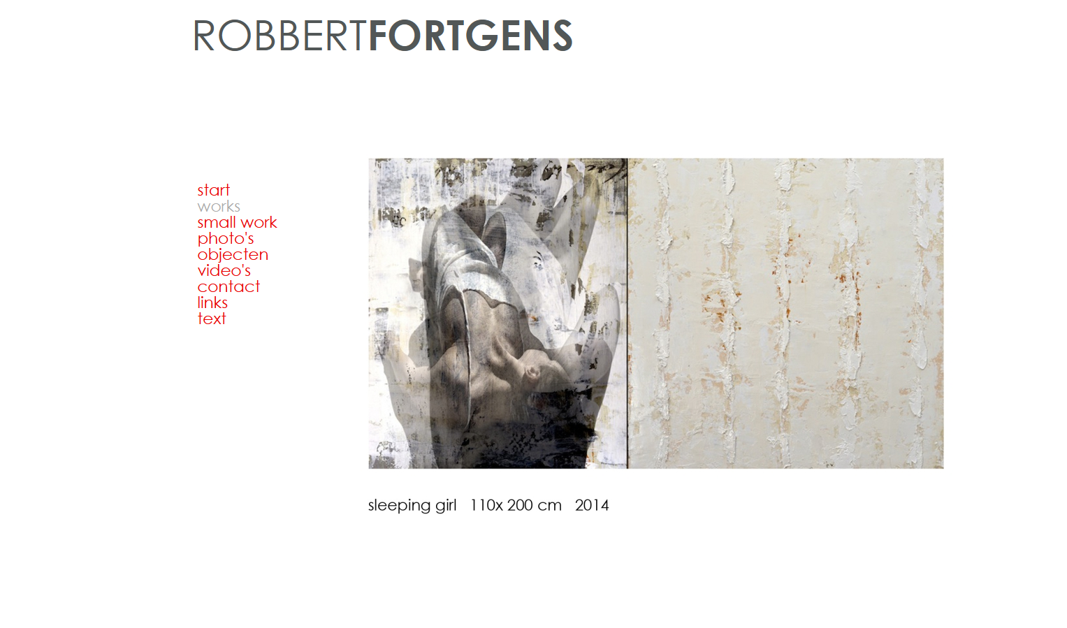Robbertfortgens website